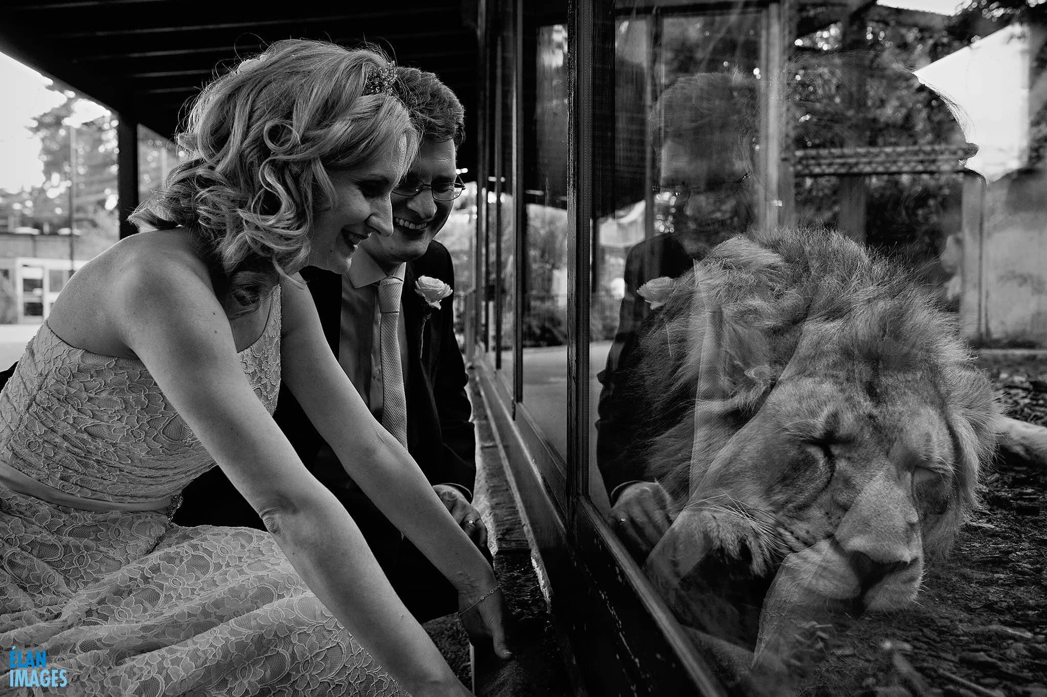 Bristol-Zoo-Wedding-Photographer