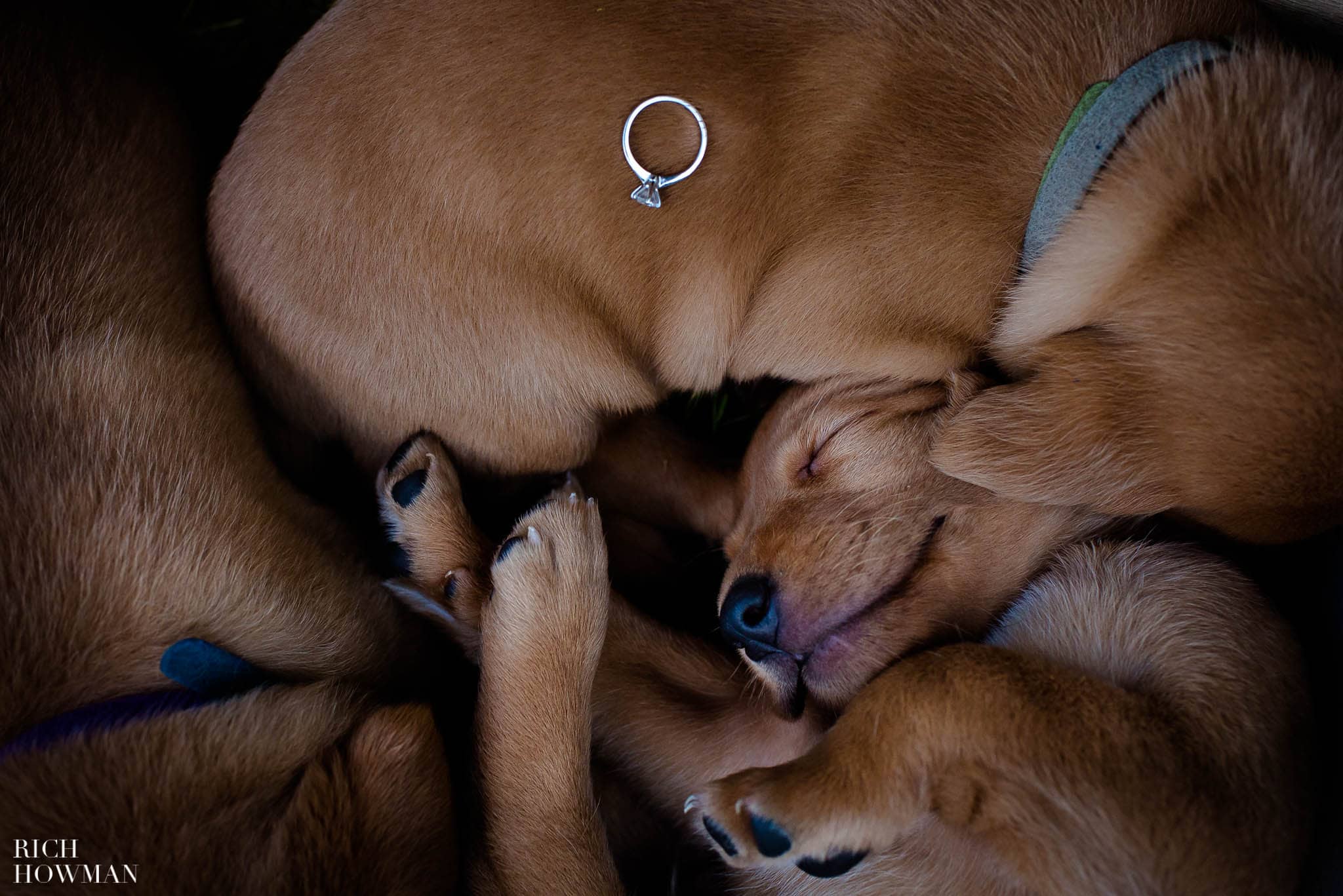 Engagement Photo Shoot Cley Hill Warminster 5