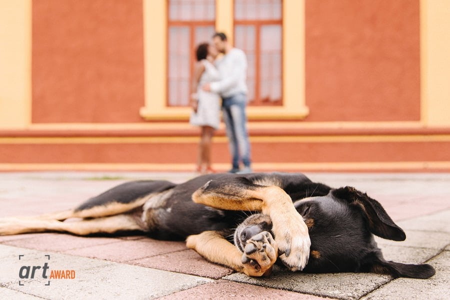 How to win wedding photography awards 5 Anderson Crepaldi - Dogs at Wedding Photographer
