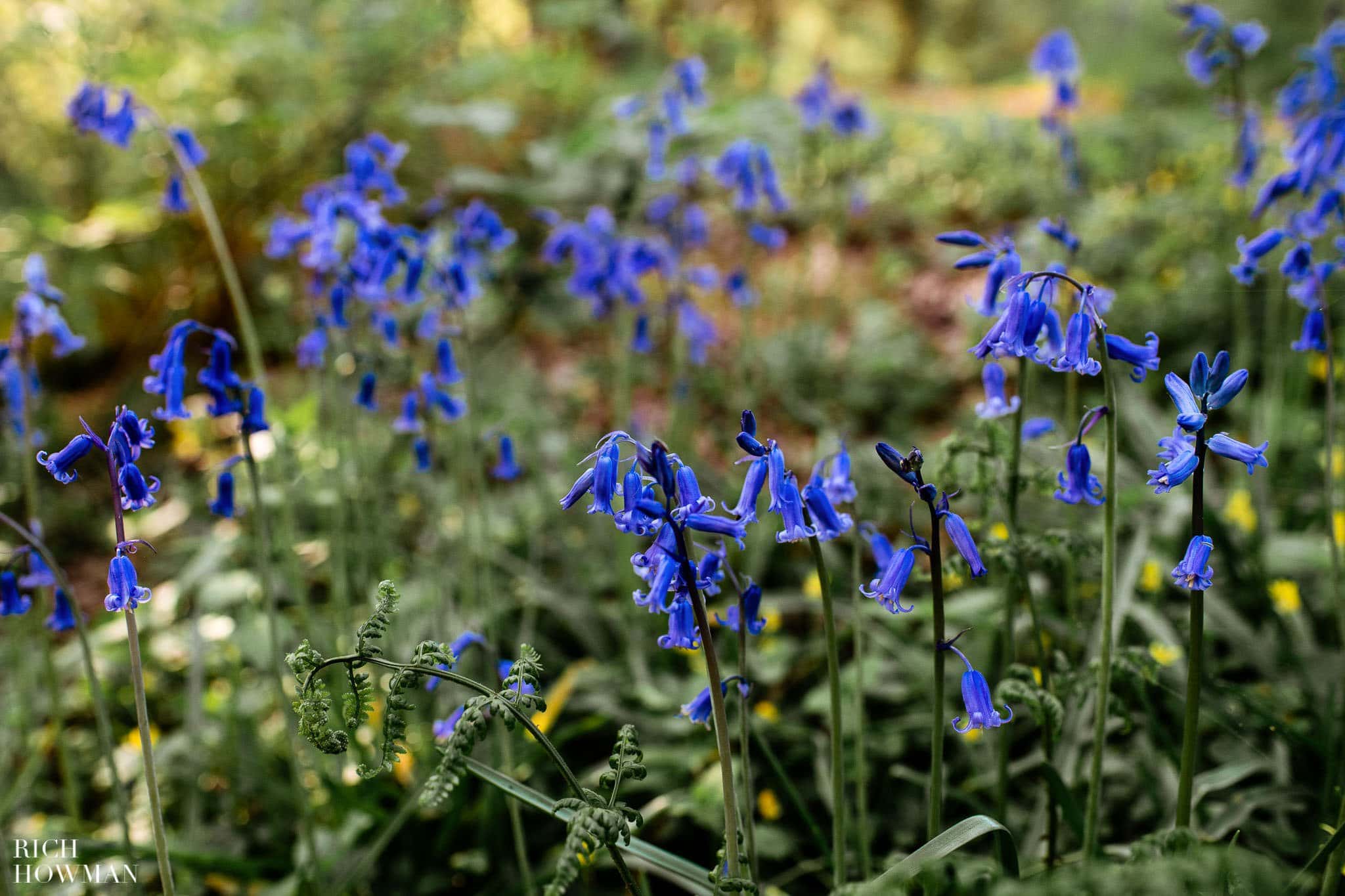 Outdoor Wedding Ceremony in Somerset